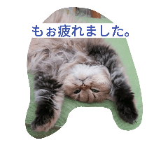 [LINEスタンプ] ボムとテム