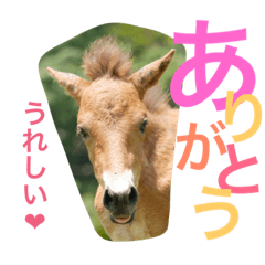 [LINEスタンプ] 馬♡御崎馬  3