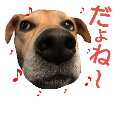 [LINEスタンプ] サクナナ