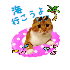 [LINEスタンプ] はるまる第3弾 ～夏の日の2017～