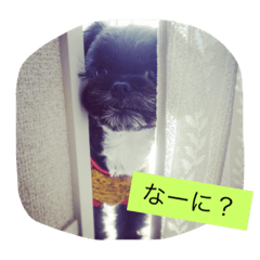 [LINEスタンプ] ミルンプ