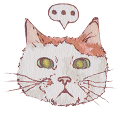 [LINEスタンプ] おばあちゃん猫の日常！