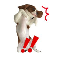 [LINEスタンプ] SAMらいふ