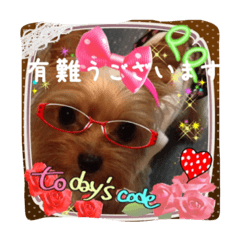 [LINEスタンプ] わんちゃんファミリー3