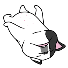 [LINEスタンプ] Ringo the Frenchie