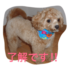 [LINEスタンプ] プル