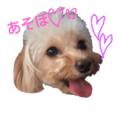 [LINEスタンプ] こじろーのキモチ