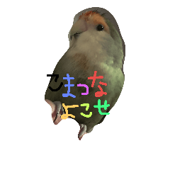 [LINEスタンプ] ぴーたす