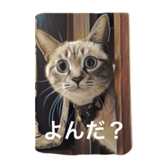[LINEスタンプ] ルカのひと言