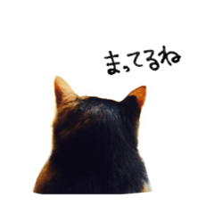 [LINEスタンプ] にゃーすの日常