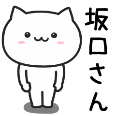 [LINEスタンプ] 坂口(さかぐち)さんが使うネコ