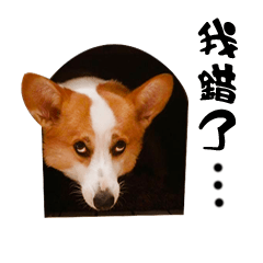 [LINEスタンプ] Corgi Orange is Awesome