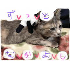 [LINEスタンプ] いつも可愛いはるちゃん
