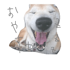 [LINEスタンプ] 寧々