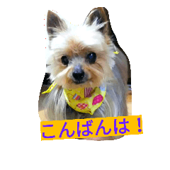 [LINEスタンプ] カイルくん2