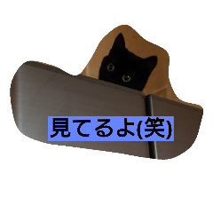 [LINEスタンプ] 黒猫モナちゃん