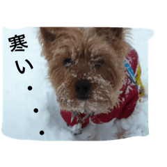 [LINEスタンプ] ししまるの生活3