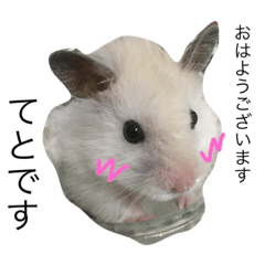 [LINEスタンプ] てとてとテトとキキ 1