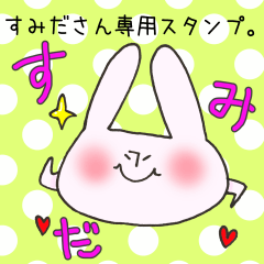 [LINEスタンプ] すみださん専用スタンプの画像（メイン）