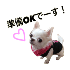 [LINEスタンプ] チビすたんぷ。