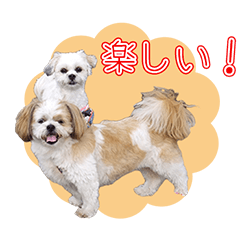 [LINEスタンプ] まろん もも もかのスタンプ