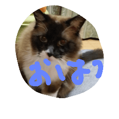 [LINEスタンプ] にゃらんず