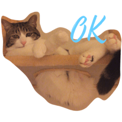 [LINEスタンプ] よく使う？スタンプ