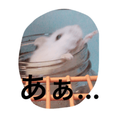 [LINEスタンプ] ハムの生活その1