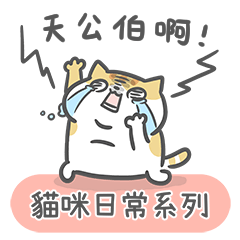 [LINEスタンプ] Ameow-cat daily series