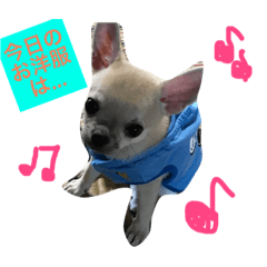 [LINEスタンプ] ちーちゃん2