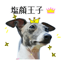 [LINEスタンプ] イタグレ界の塩顔王子AJ