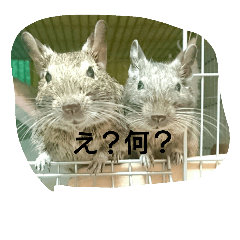 [LINEスタンプ] 哲郎一家