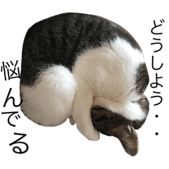 [LINEスタンプ] みるくのみぃ〜ちゃん。スタンプ
