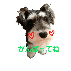 [LINEスタンプ] みにしゅな