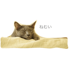 [LINEスタンプ] ルル