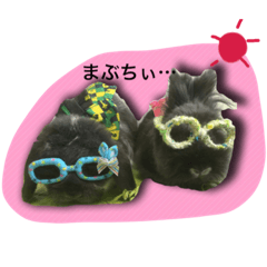[LINEスタンプ] ちゃたぎんとゆかいな仲間たちスタンプ