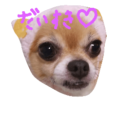[LINEスタンプ] アンジースタンプ