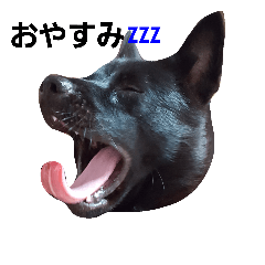 [LINEスタンプ] 甲斐犬くまのスタンプ2