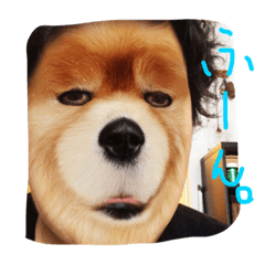 [LINEスタンプ] おきらくごくらく。