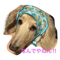 [LINEスタンプ] オオイシと愉快な仲間たち