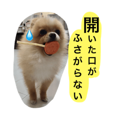 [LINEスタンプ] たろきちスタンプ.