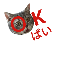 [LINEスタンプ] ラグーン君のスタンプ