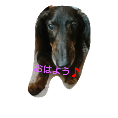 [LINEスタンプ] まなみとペット