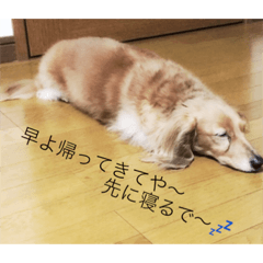 [LINEスタンプ] ルイちゃん1