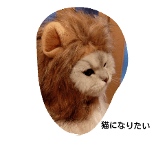 [LINEスタンプ] ペルシャ猫