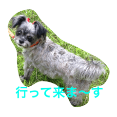 [LINEスタンプ] ピョンピョンくうちゃん