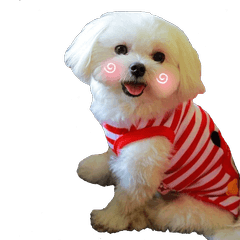 [LINEスタンプ] Jubby