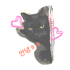 [LINEスタンプ] ナビさんの韓国語スタンプ