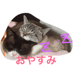 [LINEスタンプ] うりねぎさん