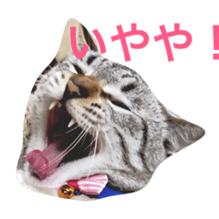 [LINEスタンプ] ぶん1
